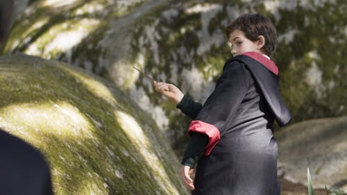 有关人物, 哈利波特, 天性的免费素材视频