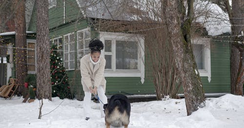 有关下雪的, 冬季, 动物的免费素材视频