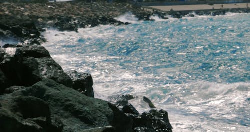 有关大浪, 天性, 岩石的免费素材视频