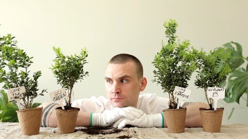 有关人, 变绿, 土的免费素材视频