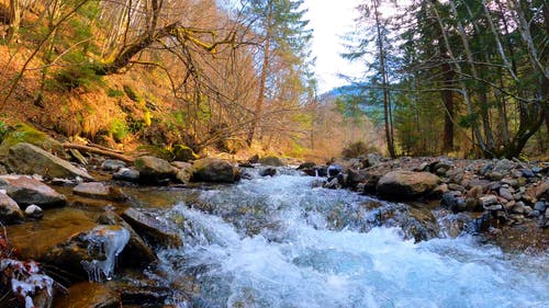 有关冰, 冷, 冷冰冰的免费素材视频