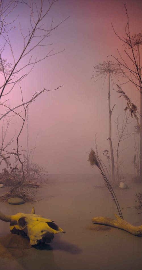 有关＃室内, 一起, 主题的免费素材视频