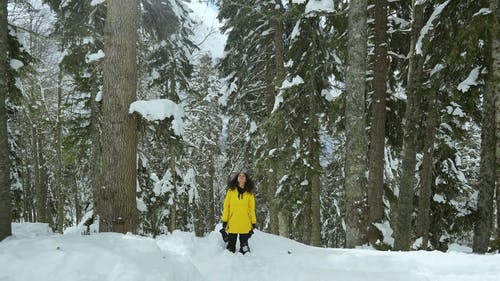 有关冬季, 冬季仙境, 冬装的免费素材视频
