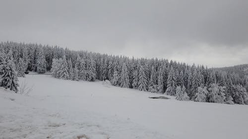 有关冬季, 多云的天空, 大雪覆盖的免费素材视频