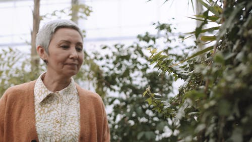 有关女人, 女性, 工厂的免费素材视频