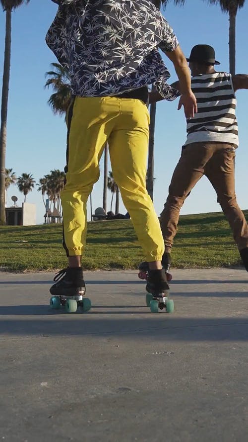 有关@户外, 公园, 垂直视频的免费素材视频