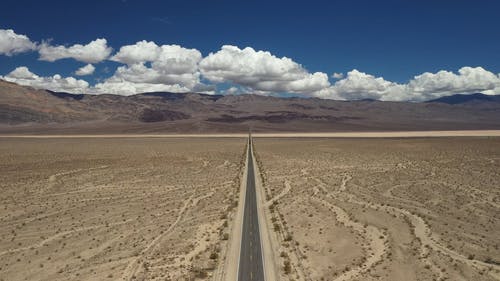 有关仙人掌, 公路旅行, 冒险的免费素材视频