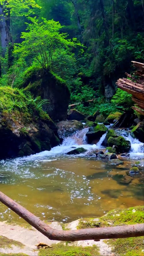 有关天性, 工厂, 户外的免费素材视频