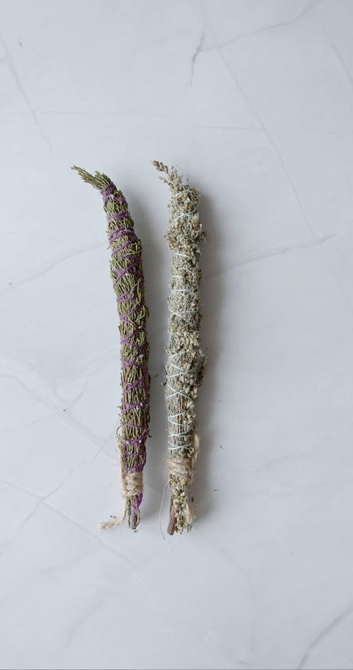 有关乾燥花, 垂直视频, 棍子的免费素材视频