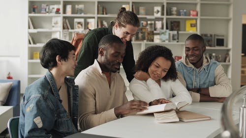 有关图书, 图书馆, 多样化的免费素材视频