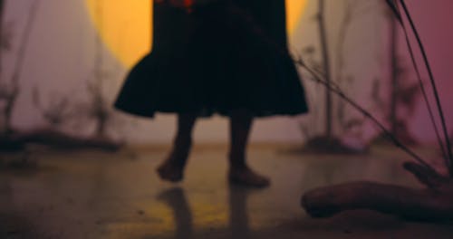 有关分支机构, 发抖, 工作室的免费素材视频