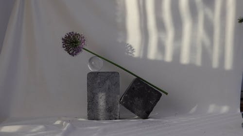 有关平衡, 形状, 方石的免费素材视频