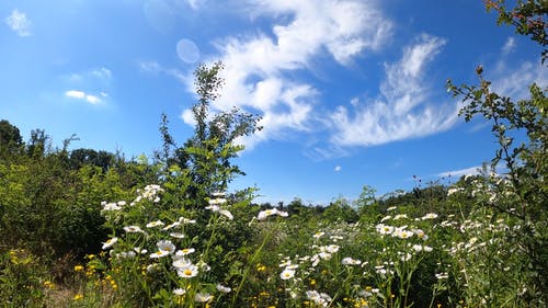 有关@户外, 4k, 低角度拍摄的免费素材视频