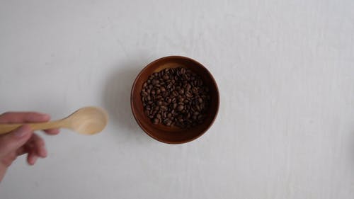 有关咖啡, 咖啡爱好者, 咖啡豆的免费素材视频