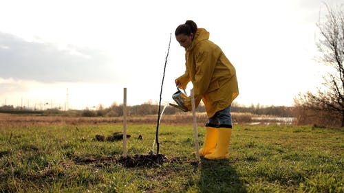 有关@户外, 一起, 低角度视图的免费素材视频
