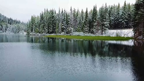 有关@户外, 下雪的天气, 冷 - 温度的免费素材视频