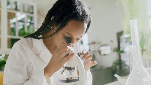 有关室内, 工作的, 植物学家的免费素材视频