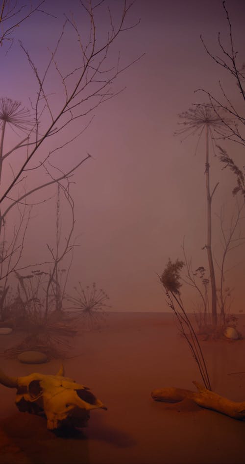 有关一个人, 中央, 光脚的免费素材视频