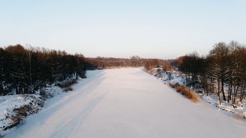 有关冬季, 大雪覆盖, 天性的免费素材视频