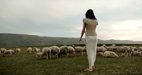 有关吃草, 女人, 步行的免费素材视频