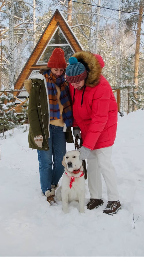 有关一对, 人, 冬衣的免费素材视频