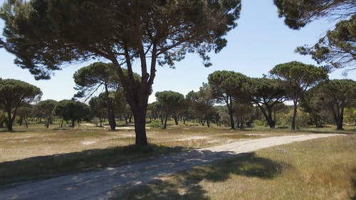 有关农业用地, 增长, 日光的免费素材视频