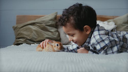 有关儿童, 宠物, 年轻的免费素材视频