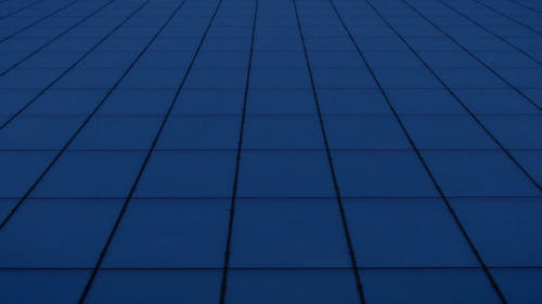 有关从下面, 低角度拍摄, 低角度摄影的免费素材视频