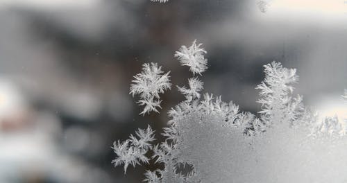 有关下雪的天气, 冰, 冷 - 温度的免费素材视频