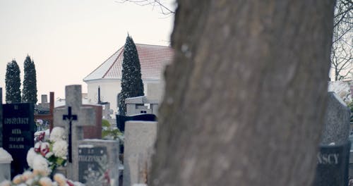 有关下雪的, 下雪的天气, 冬季的免费素材视频