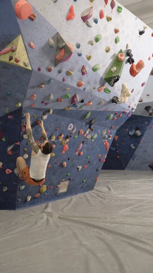 有关人, 垂直视频, 娱乐的免费素材视频