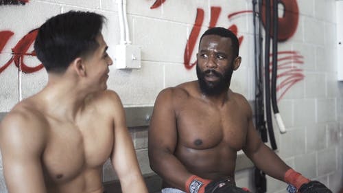 有关体质, 多样化, 拳击手的免费素材视频