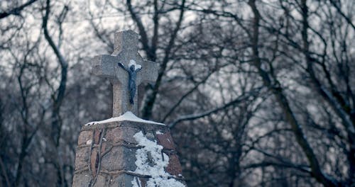 有关rip, 下雪的, 下雪的天气的免费素材视频