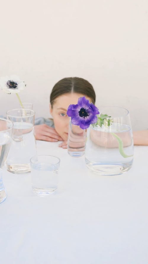 有关不一样, 喝, 坐的免费素材视频