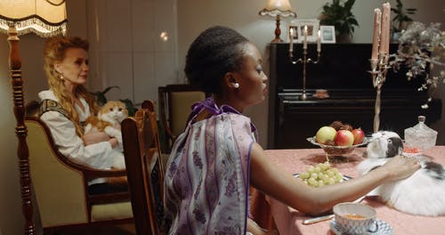 有关一起, 优雅, 动物的免费素材视频