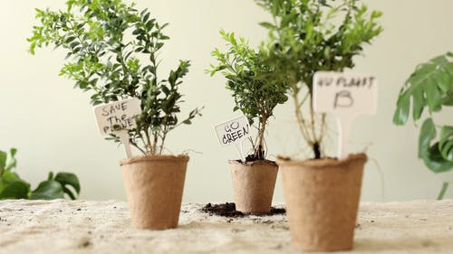 有关保存, 和平的, 地面的免费素材视频