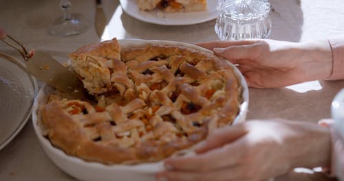 有关上菜, 享受, 人的免费素材视频