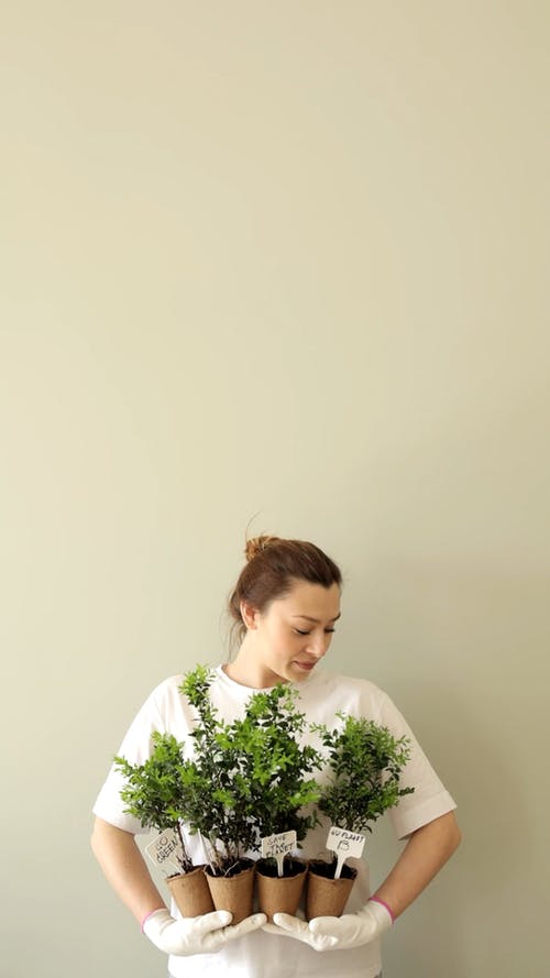 有关园丁, 垂直视频, 女人的免费素材视频