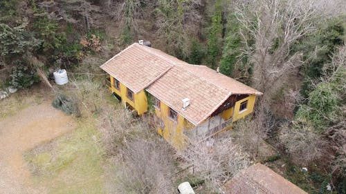 有关4k视频, 原本, 和平的的免费素材视频