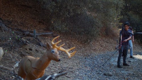 有关@户外, 天性, 射击的免费素材视频