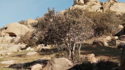 有关地质构造, 大石头, 天然岩层的免费素材视频