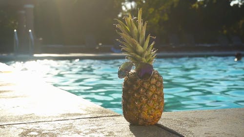 有关假期, 反射, 墨镜的免费素材视频