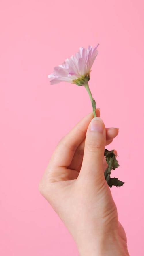 有关人, 垂直视频, 室内的免费素材视频