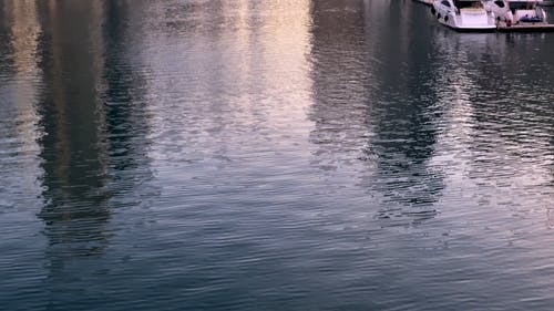 有关城市, 塔, 天际线的免费素材视频