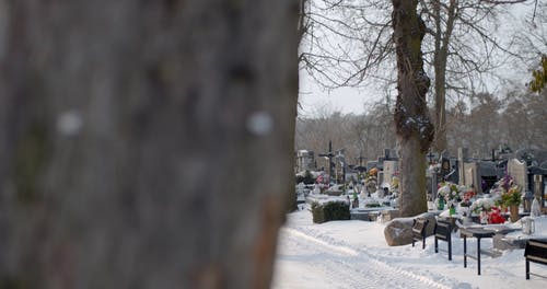 有关下雪的, 下雪的天气, 冬季的免费素材视频