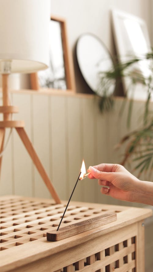 有关原本, 在家, 垂直视频的免费素材视频