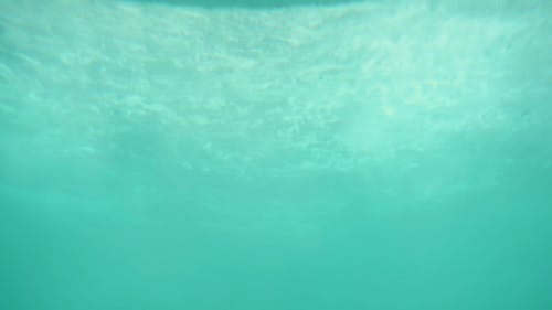 有关水下, 水中的, 水流的免费素材视频