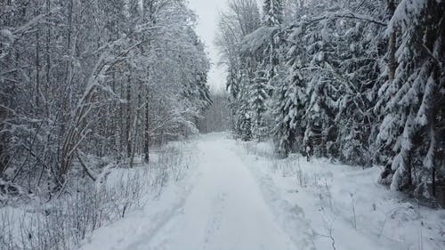 有关下雪的, 下雪的天气, 冬季的免费素材视频