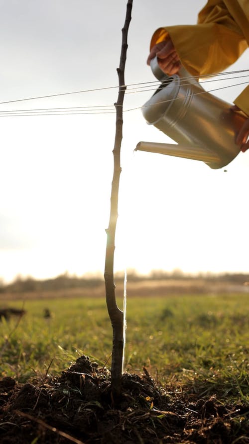 有关@户外, 一起, 低角度视图的免费素材视频