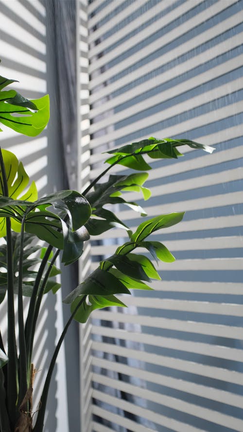 有关光, 喷剂, 夏天的免费素材视频